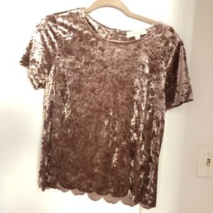 Mauve Crushed Velvet Top